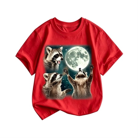 Kiijoy Boys Funny Graphic T-Shirt Casual Short Sleeve Tshirt Red Sizes 12-13