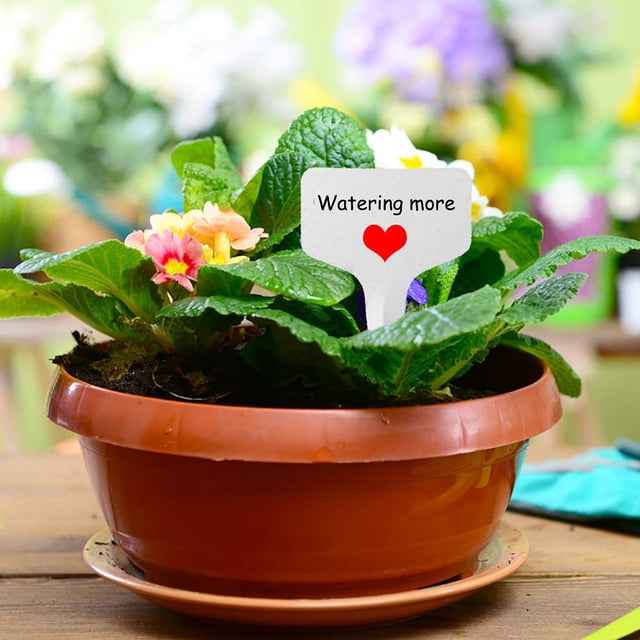 100 etiquetas de PVC para jardín, etiquetas blancas para clasificar plantas de jardinería, etiquetas de plástico para escribir, tableros de escritura