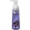 Bodycology 8fo Foam Soap Midnight Garden
