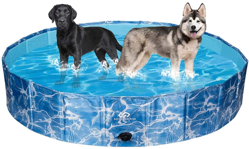 kiddie dog pool