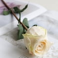 thumbnail image 2 of Artificial Rose Flowers Realistic Silk Burnt Edge Vintage Rose with Long Stem for Home Bridal Wedding Party Floral Bouquets Decoration (Pcs, White), 2 of 5
