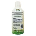 thumbnail image 3 of Garden Greens Wheat Grass Liquid with Real Ginger Extract, Nature's Perfect Superfood, 32 servings, 3 of 3