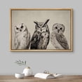 thumbnail image 2 of PixonSign Framed Canvas Print Wall Art Duotone Owl Portraits Vintage Antique Farmhouse Decor Nature Animals Modern Art Realism Cozy Decorative Colorful Multicolor - 16"x24" Natural, 2 of 5