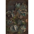thumbnail image 2 of Torsten Wasastjerna 17x24 Black Ornate Framed Double Matted Museum Art Print Titled: Lichen (1895 - 1896), 2 of 5