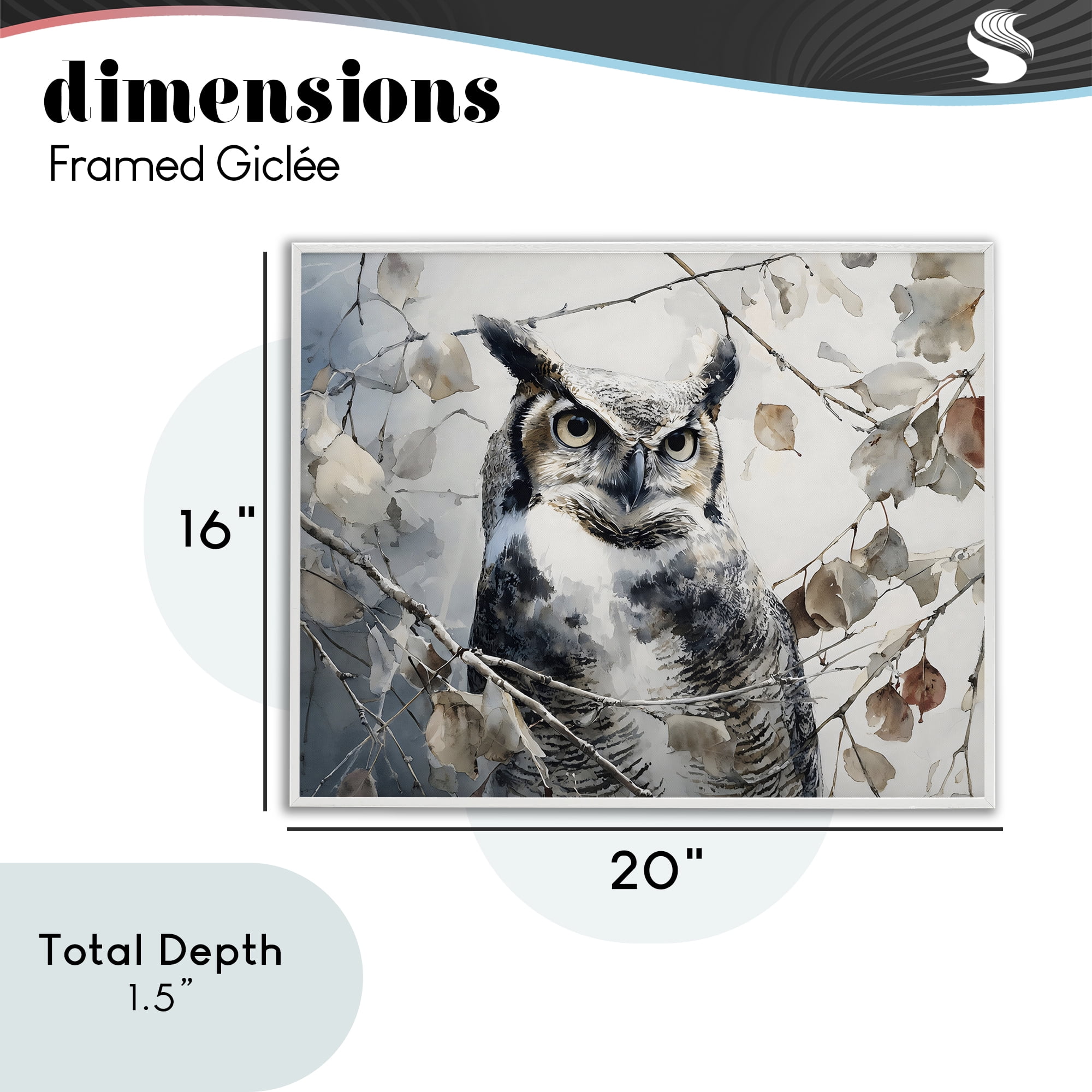 Stupell Industries Horned Owl Perched White Framed Giclee Art, design by Franklyn Gregory