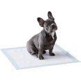 thumbnail image 1 of SHAR Leak-Proof Dog Poop Pads - 50 Pack, 45cm x 60cm, 5 Layers, Quick Dry Surface, Regular Size, 1 of 4