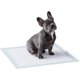 thumbnail image 1 of Almohadillas para caca de perro Sincero paquete de 50 45 cm x 60 cm, 1 of 4