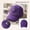 e, variant on Womens Mens Alzheimers Baseball Cap Unisex Purple Ribbon Floral & Hummingbird Print Hat Alzheimer'S Awareness Support Baseball Hats For Women Men