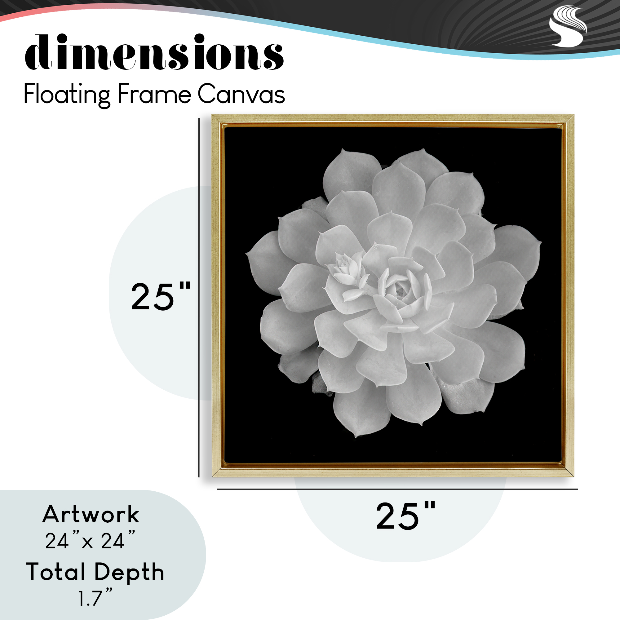 Pure White Succulent Contrast Gold Framed Floater Canvas Wall Art, design by Phillip Flowers