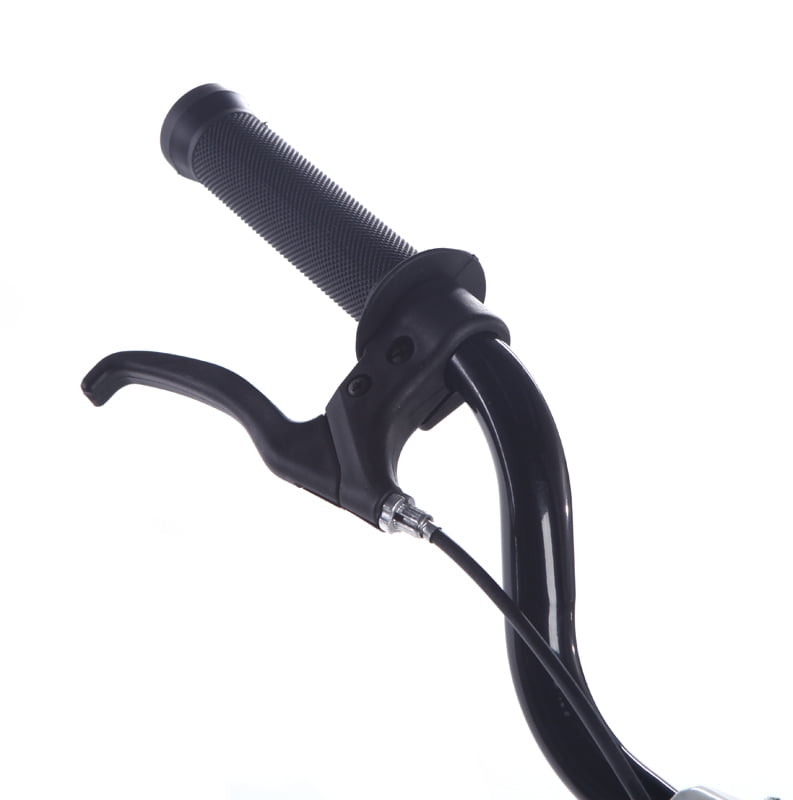 flicker bike for adults