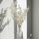thumbnail image 5 of 45cm Dried Preserved Ruscus Flowers - Forever Green DIY Decor for Home & Floral Arrangements, 5 of 5