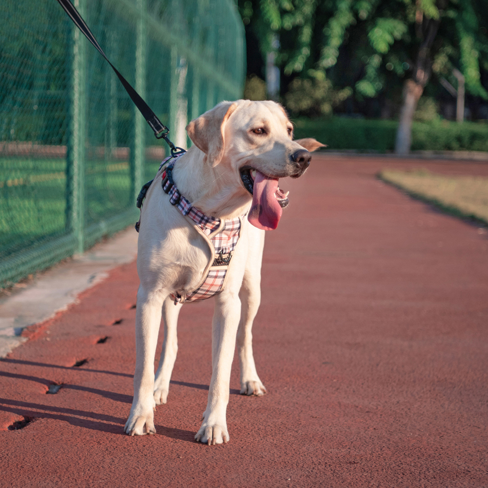 PoyPet No-Pull Dog Harness, Checkered Beige XL photo 2