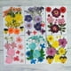 thumbnail image 3 of Múltiples hermosas flores secas das reale manualidades de arte, álbumes , joyería de resina, fabricación de carcasas Crisantemo de cristal azul Macarena Flores secas prensadas naturales, 3 of 8