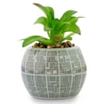 thumbnail image 2 of Toynk Star Wars Death Star 3-Inch Ceramic Planter with Artificial Succulent | Cute Small Flower Pot, Faux Indoor Plants, 2 of 2