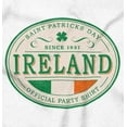 thumbnail image 2 of Saint Patricks Day Ireland Flag Party Sweatshirt for Men or Women Brisco Brands S, 2 of 6