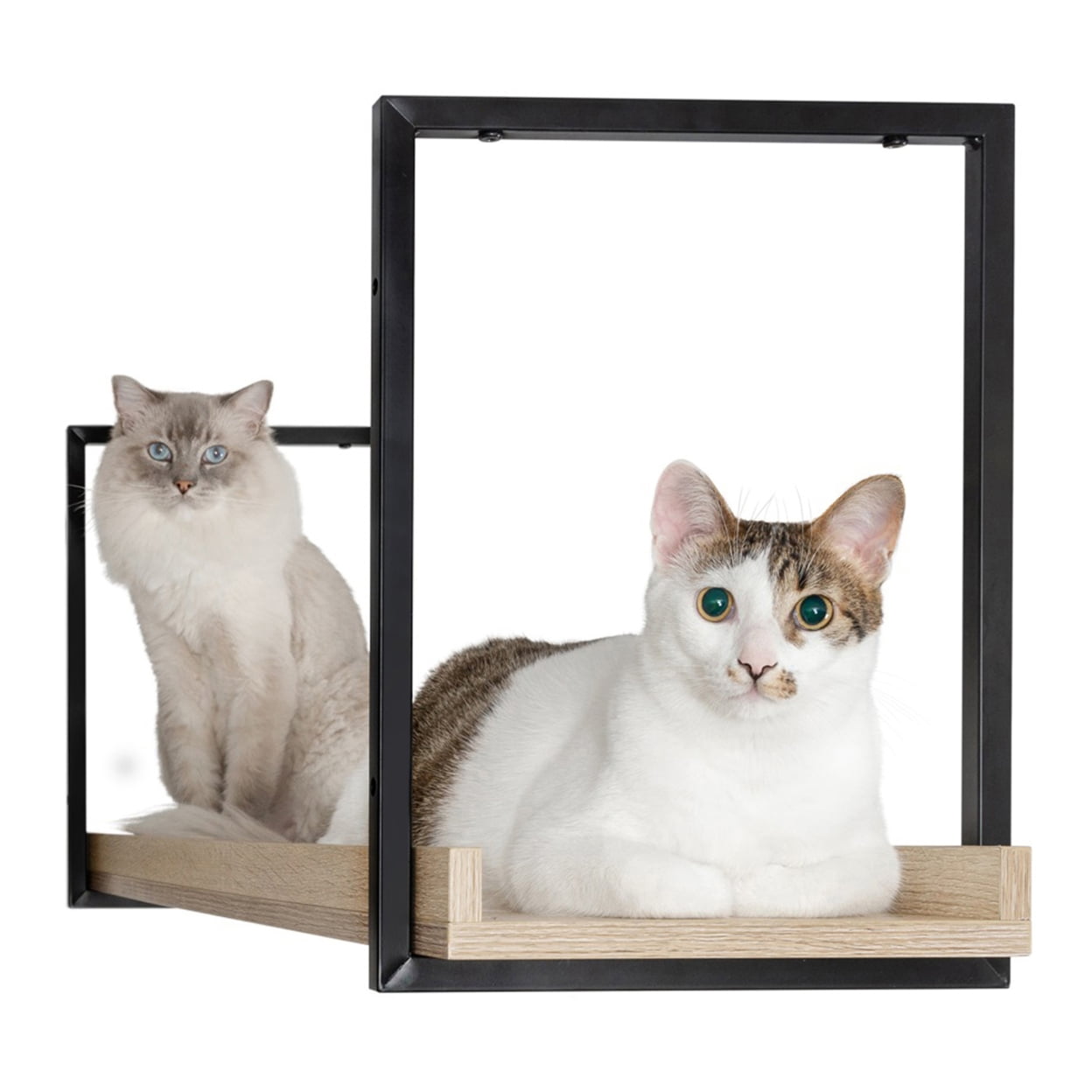 MYZOO Avenue 23.5 in. Black Wall-mounted Cat Walkway