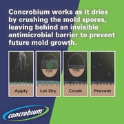 (2 pack) Concrobium Mold Control Aerosol Spray, 14.1 oz