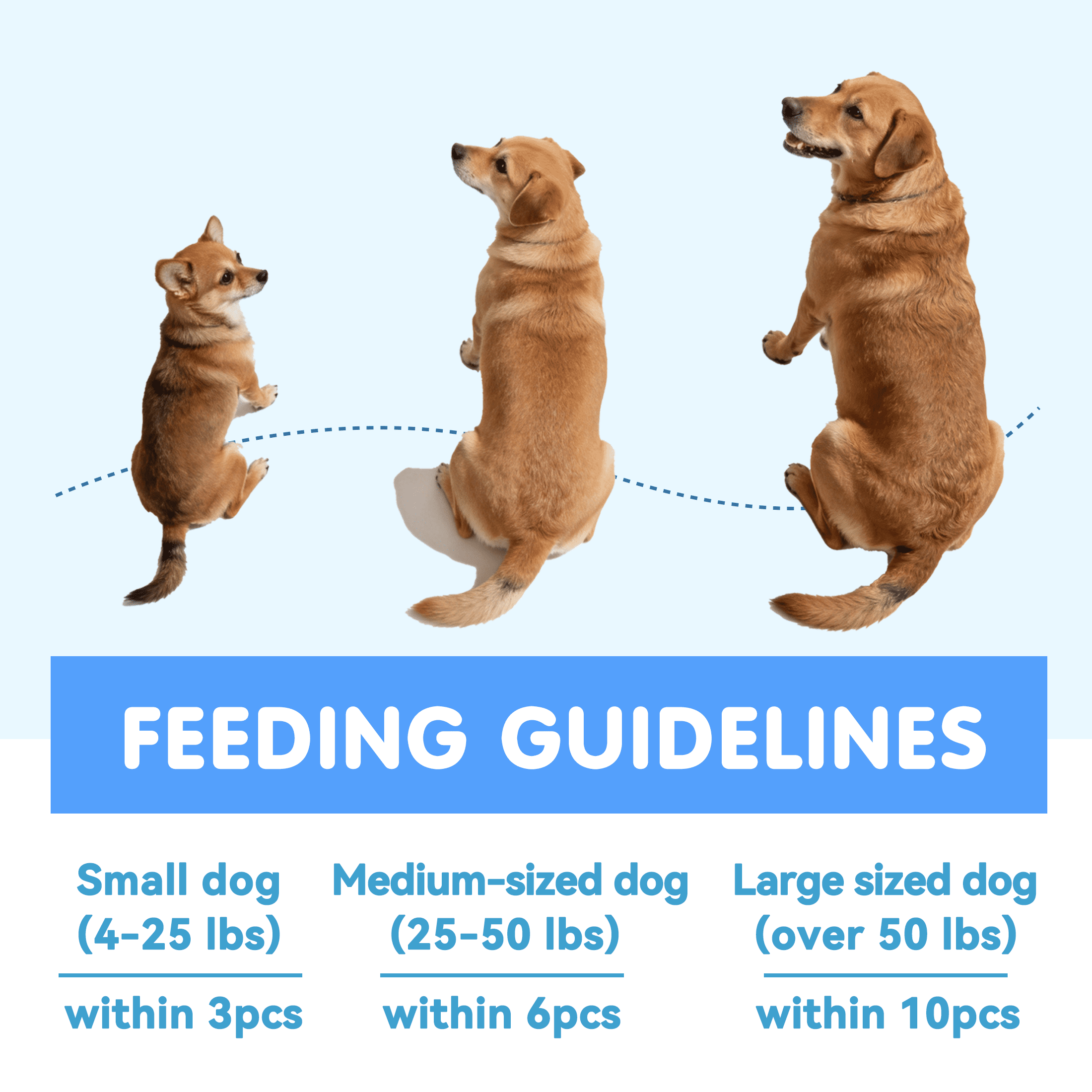 (2 pack) PAWUP Freeze Dried Minnows Dog Treats for Small Medium Large Cats and Dogs, Single Ingredient, Grain Free, Rich in Omega 3 Dog Training Treats, 2.9oz