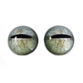 thumbnail image 5 of Javan Tree Frog Glass Eyes, 5 of 11