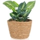 thumbnail image 2 of Pot de planta tejida con revestimiento de paja Canasta de flores de planta tejida, 2 of 4