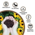 thumbnail image 4 of Plantonix Coco Bliss Premium Coconut Coir Pith Soil Amendment, 650g Bricks (20 Pack), 4 of 7