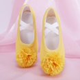 thumbnail image 2 of jianru Ballet Shoes for Girls Elastic Straps Non Slip Soft Sole Floral Canvas Professional Dance Shoes for Toddler Kids, 2 of 9