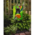 thumbnail image 2 of Carolines Treasures BB1971GF French Bulldog St. Patricks Day Flag Garden, 2 of 3