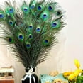 thumbnail image 3 of Piokio 50 pcs Natural Peacock Feathers in Bulk 20-23inch (50-60 cm) Bulk for DIY Craft, Wedding, Decoration, 3 of 6
