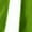 Green, variant on Womens Capri Pants Trendy Lightweight Jogger Running Pants Elastic Waist Cinch Bottom Sweatpants with Pockets
