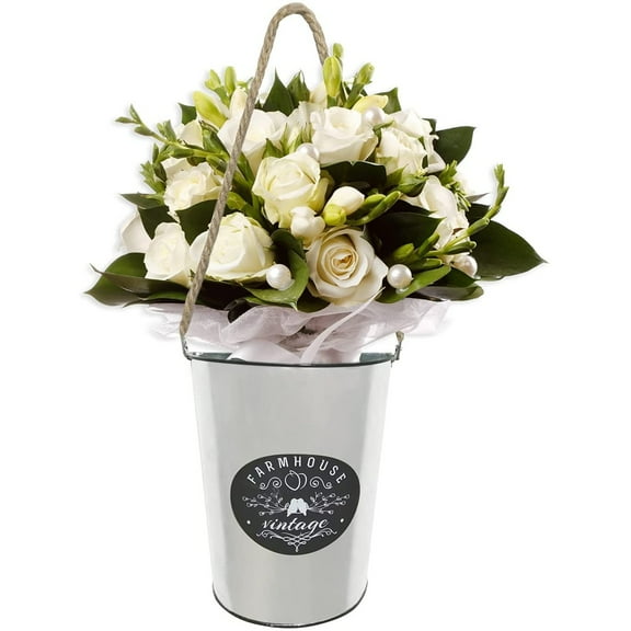 Farmhouse Rustic Wall Hanging Galvanized Indoor Outdoor Plant Flowers Vase Decor