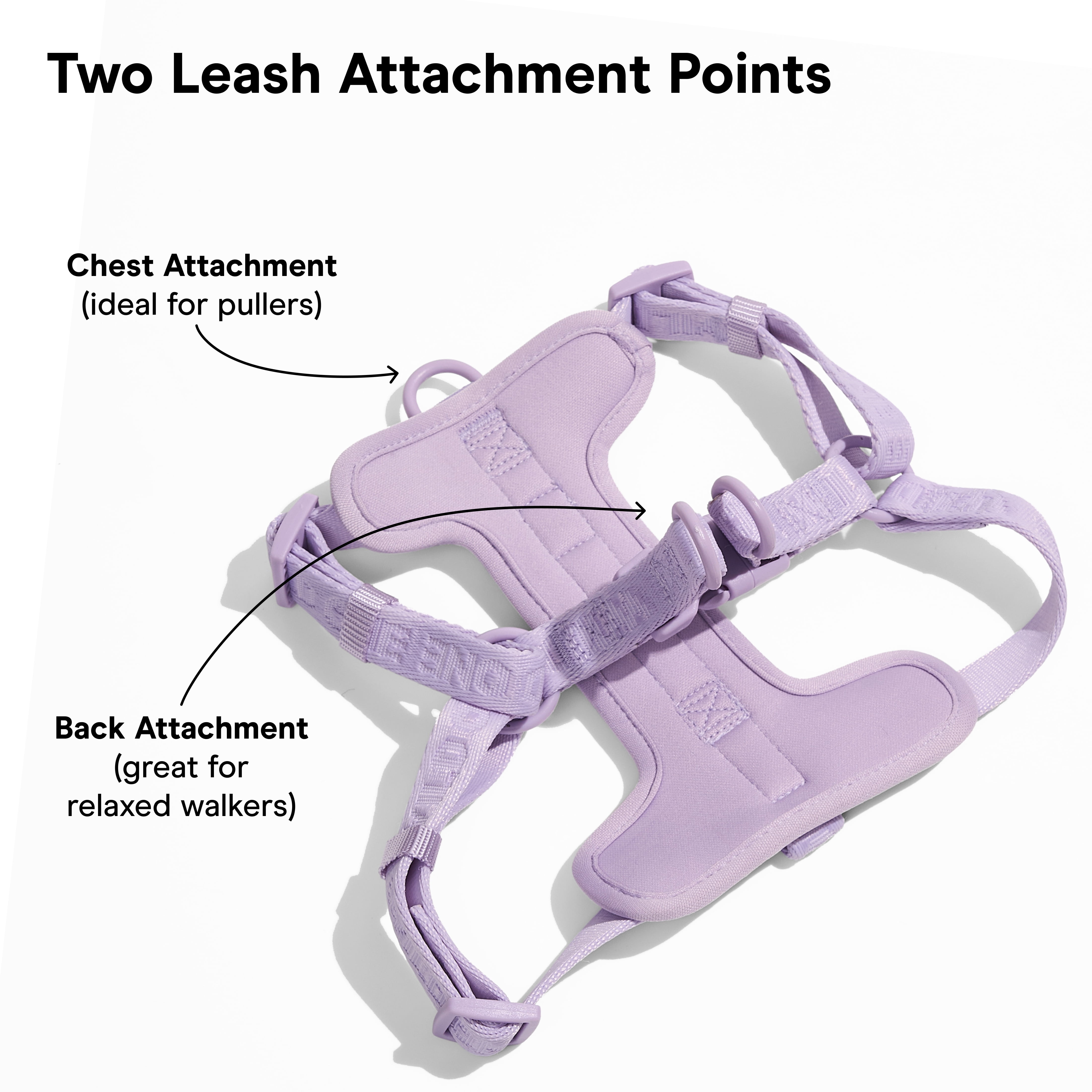 Wild One Adjustable Cushioned Step-In Dog Harness, Lilac, Large