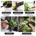 thumbnail image 3 of 8pcs Succulent Tools, Mini Garden Tool Set, Succulent Transplanting Miniature Gardening Plant Hand Tools, Succulent Kit for Indoor Outdoor Miniature Fairy Garden Plant Care, Transplanting Plant, 3 of 8