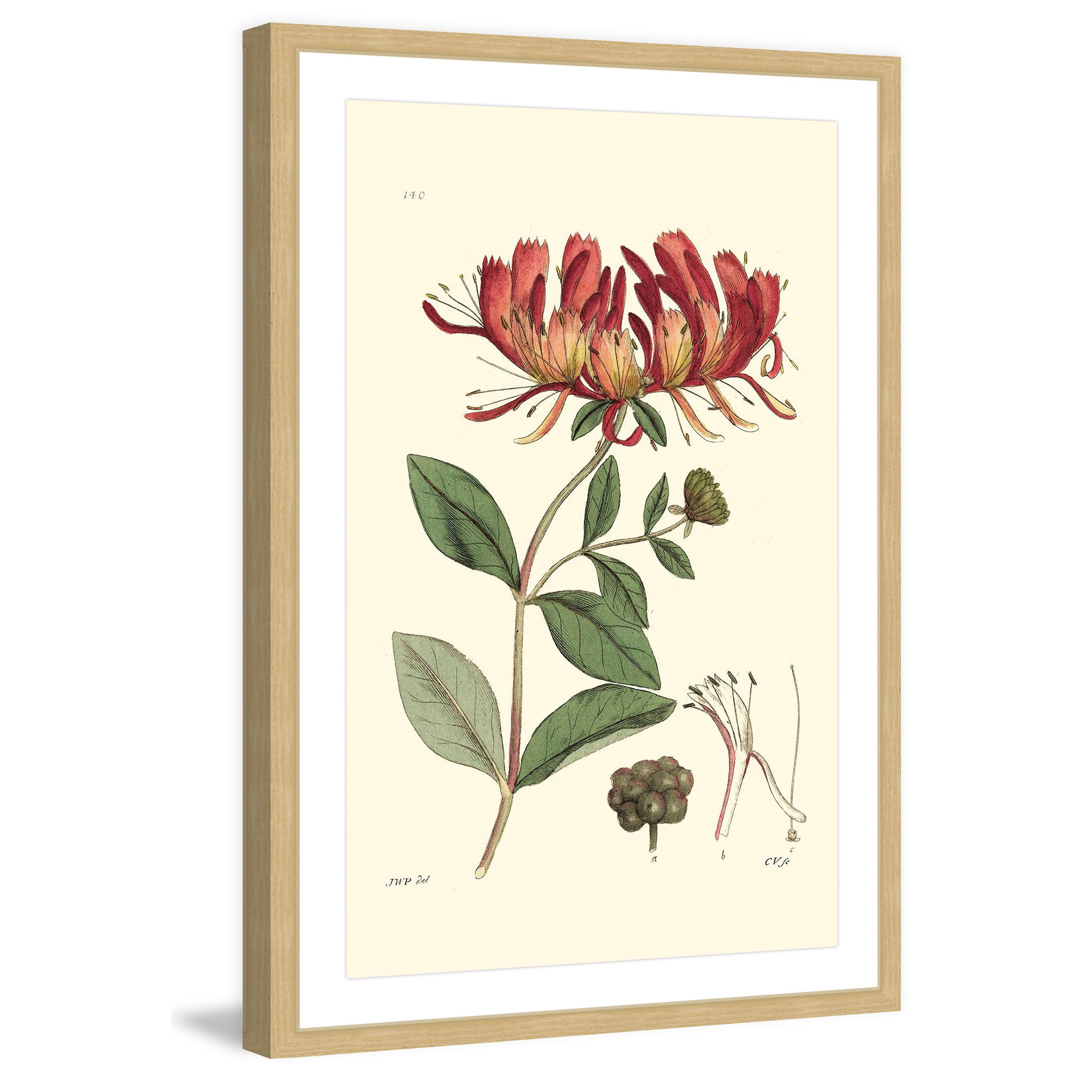 "Antique Floral II" Framed Painting Print