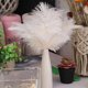 thumbnail image 3 of Tmvgtek 10 Plumas De Avestruz Esponjosas Para Fiestas De Bodas, Plumas De 25 A 30 Cm (Blanco) Tmvgtek Para estrenar, 3 of 8