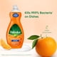 thumbnail image 2 of Lavavajillas líquido Palmolive Ultra Antibacterial Naranja 960 ml, 2 of 9