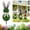 U, variant on Easter Decorative Artificial Bunny Topiary Stake, Greenery Rabbit With Bow For Outdoor Garden Yard Lawn Pathway Accent, 1 Pieceï¼The gift for Easter