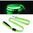 thumbnail image 3 of ATTOE Light Up ATTOE , Micro USB Rechargeable, 100% Waterproof , Glowing LED ATTOE , Safety LED ATTOE , Reflective ATTOE , Make Your Dog Safer (Green), 3 of 7