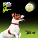 thumbnail image 2 of Juguete Pelota Glow Fancy Pets glow, 2 of 2