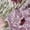 Pink, variant on Embroidered Christian Sweatshirt | "By His Grace" Floral Design