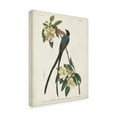 thumbnail image 2 of John James Audubon 'Fork Tailed Flycatcher' Canvas Art, 2 of 3