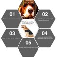 thumbnail image 4 of HUGFEGWE Dog Anxiety Relief Jacket, Medium, Deep Gray, Cotton CJ25311-10251, 4 of 7