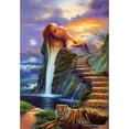 thumbnail image 1 of Taladro diamante pintura (DE1129) 5D DIY novedad completa Hada punto de cruz bordado 50x70cm FLhrweasw Nuevo, 1 of 1