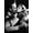 Unframed, variant on Art.com Rear Window, James Stewart, Grace Kelly, 1954 Photo, 12" x 16"