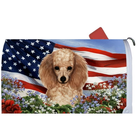 Poodle Apricot - Best of Breed Patriotic I Dog Breed Mail Box