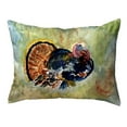 thumbnail image 1 of Betsydrake KS1165 11 x 14 Po Oreiller Coloré Dinde Sans Cordon - Petit, 1 of 1