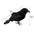 thumbnail image 2 of Simulation Black Crow Toy Party Supplies Halloween Prop Animal Model, 2 of 5