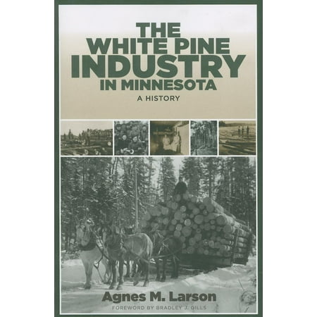 Fesler Lampert Minnesota Heritage Books Paperback The