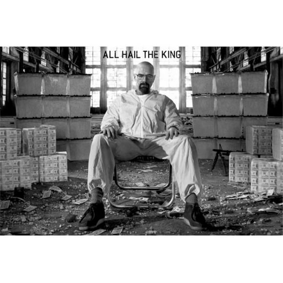 GB Eye XPE159804 Breaking Bad - Walter White - Room Full of Cash Poster Print By, 36 x 24