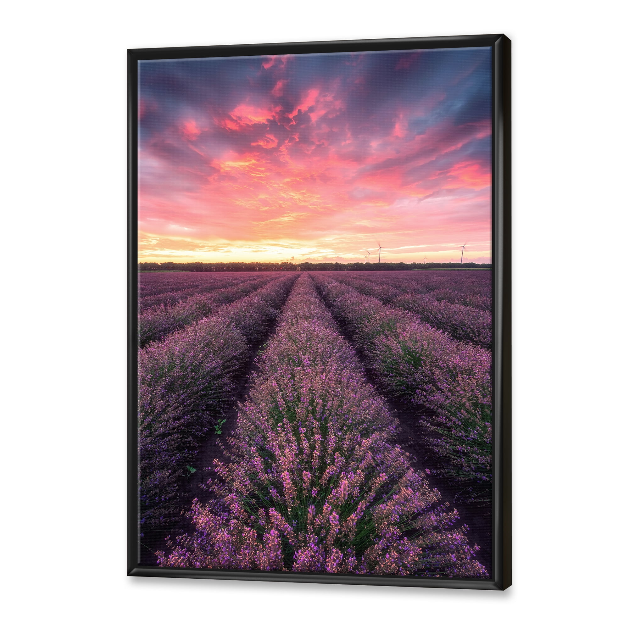 Designart 'Dramatic Clouds and Sunrise Over Lavender Field XIV' Farmhouse Framed Canvas Wall Art Print