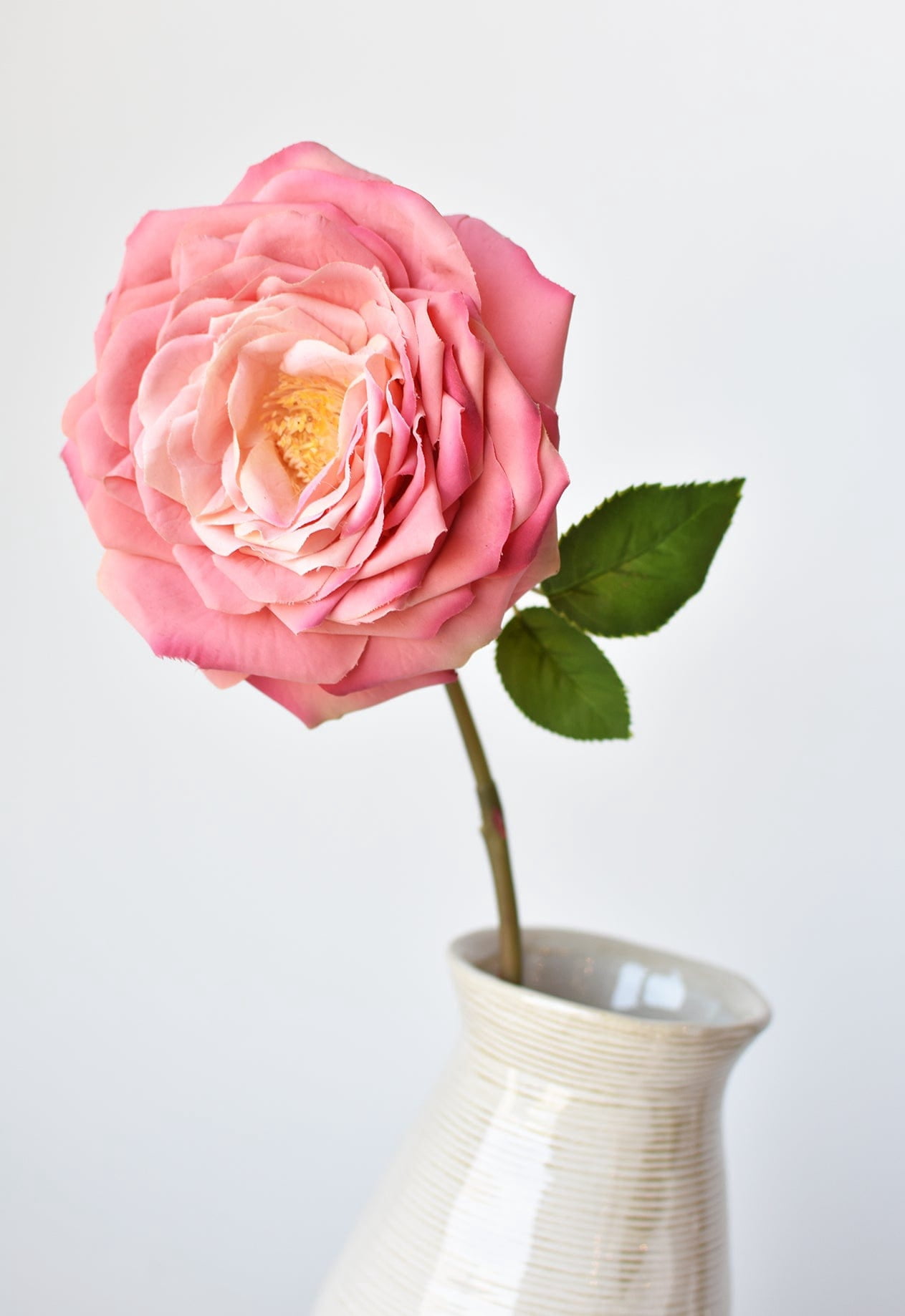 Park Place - 12 Piece Open Cabbage Rose Stem 20" Rose